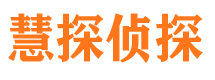 谢家集市侦探调查公司